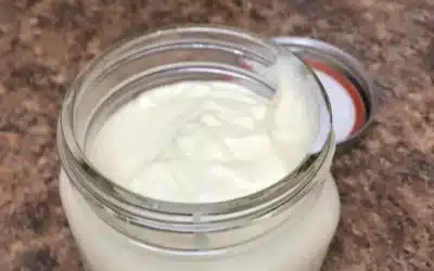 Five Minute Mayonnaise