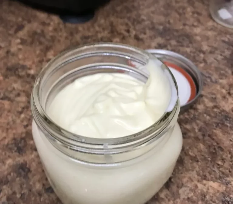 Five Minute Mayonnaise